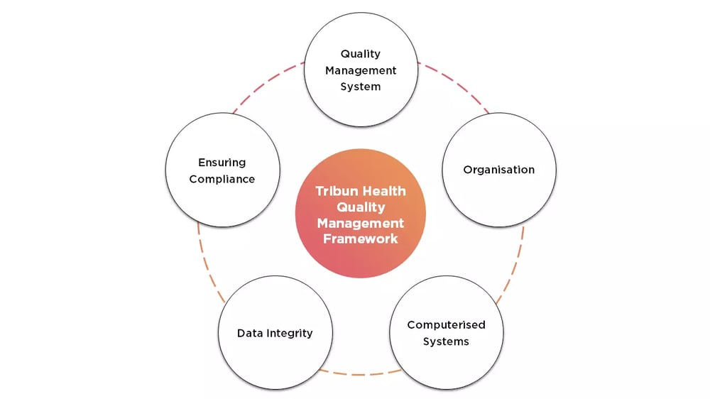 schema quality management framework
