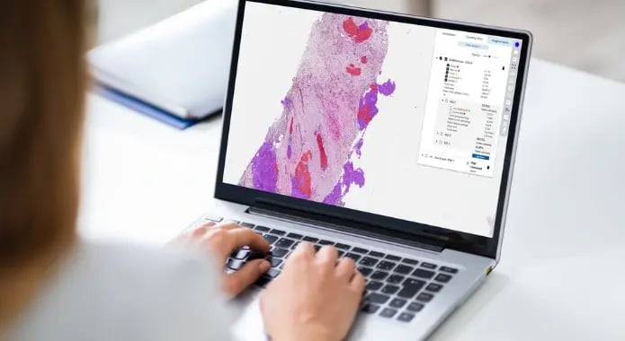 CaloPix_image_viewing