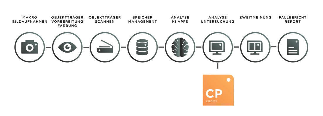 CP oder Calopix interveniert auf der Ebene der Analyse und Konsultation von phathologischen Proben digital CP oder Calopix interveniert auf der Ebene der Analyse und Konsultation von phathologischen Proben digital
