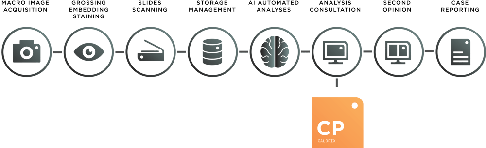 Calopix intervenes at the level of analysis and consultation of phathological sample digitally Calopix intervenes at the level of analysis and consultation of phathological sample digitally