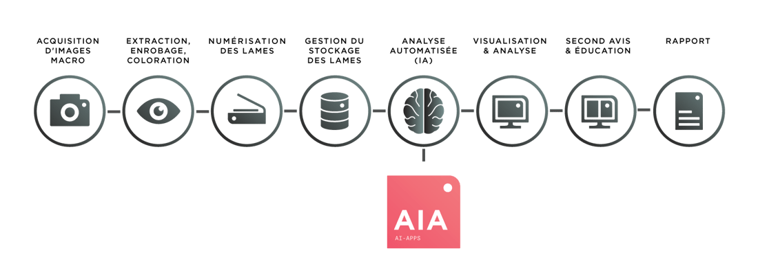 Wotkflow de pathologie numérique avec intelligence artificielle Wotkflow de pathologie numérique avec intelligence artificielle