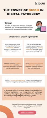 The Power of DICOM in Digital Pathology EN