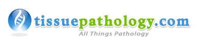 Tissue pathology logo
