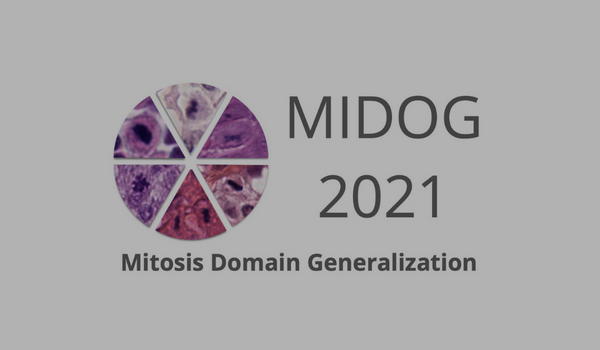 Généralisation du domaine de la mitose dans les images d'histopathologie - MIDOG 2021