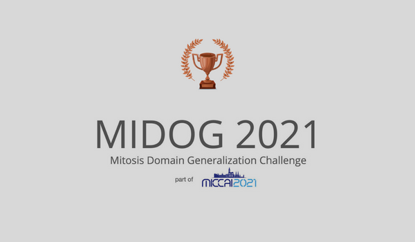Domain-specific Cycle-GAN Augmentation - MIDOG 2021