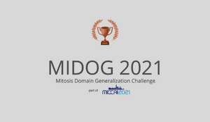 Discover our abstract after winning 3rd place of the MIDOG challenge.