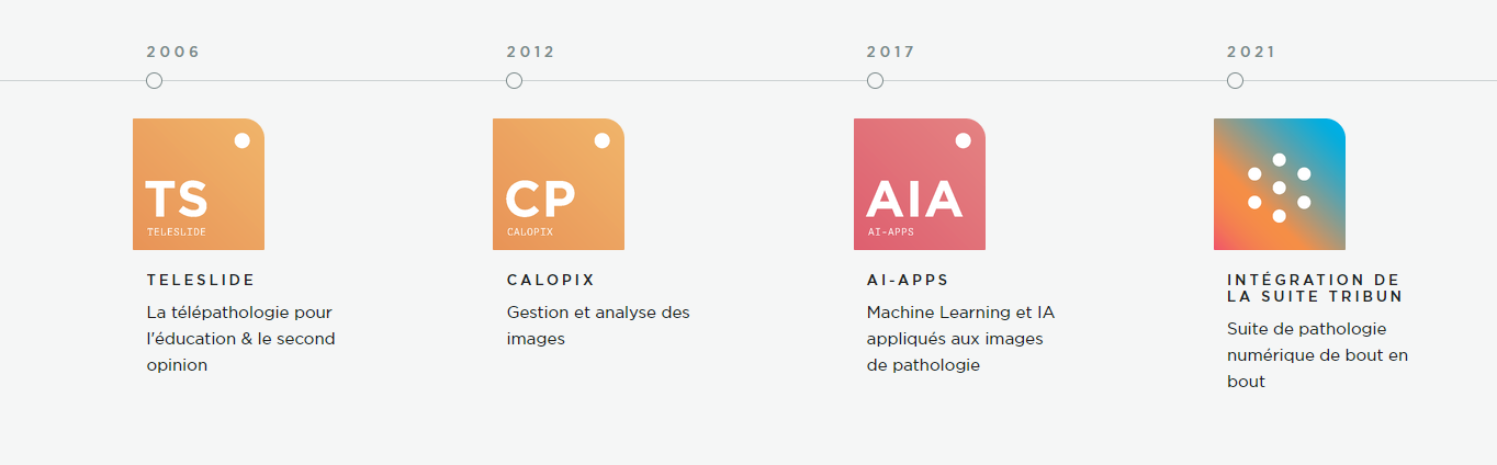 Frise chronologique-1