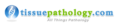 Tissue pathology-1