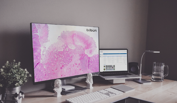 Tribun Health creates a scientific and medical board