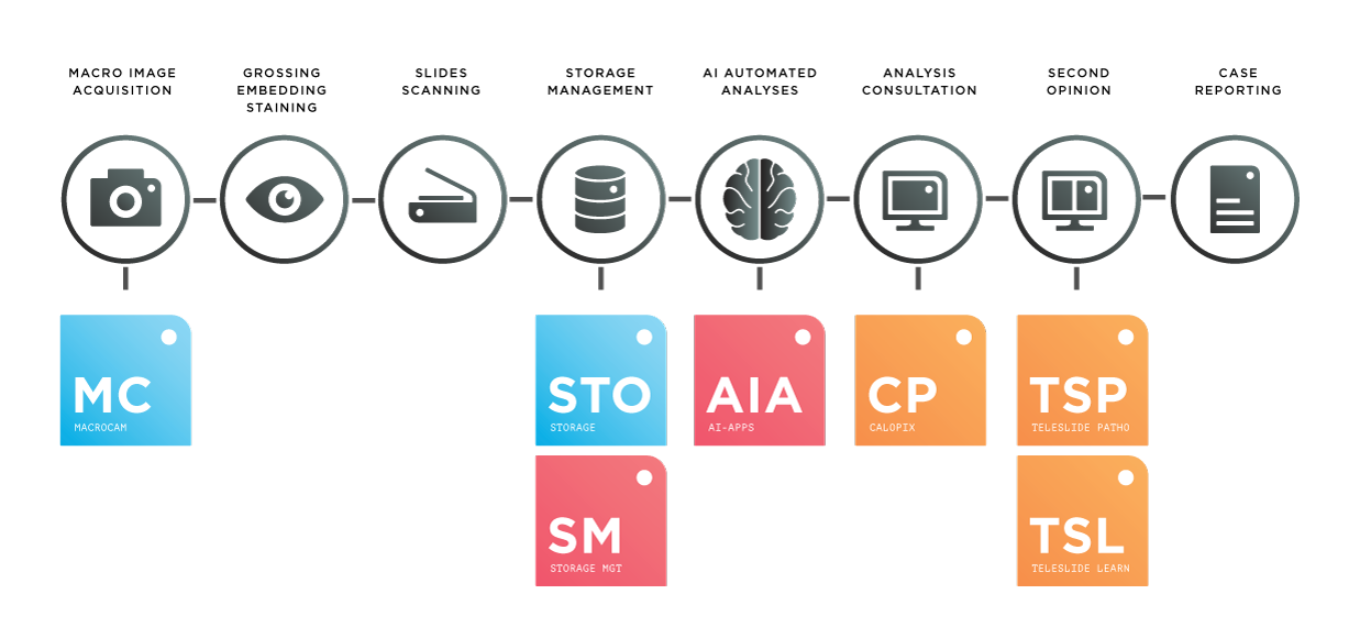 Tribun-Health-Platform-Complete-Graph Tribun-Health-Platform-Complete-Graph
