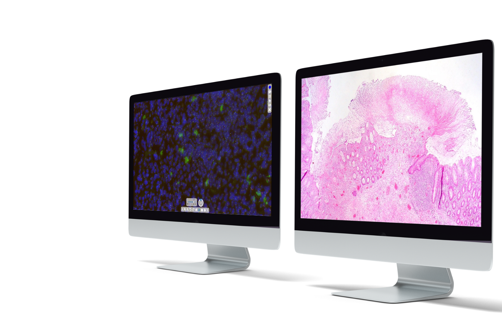 tribun-health-2-monitors-tr-1