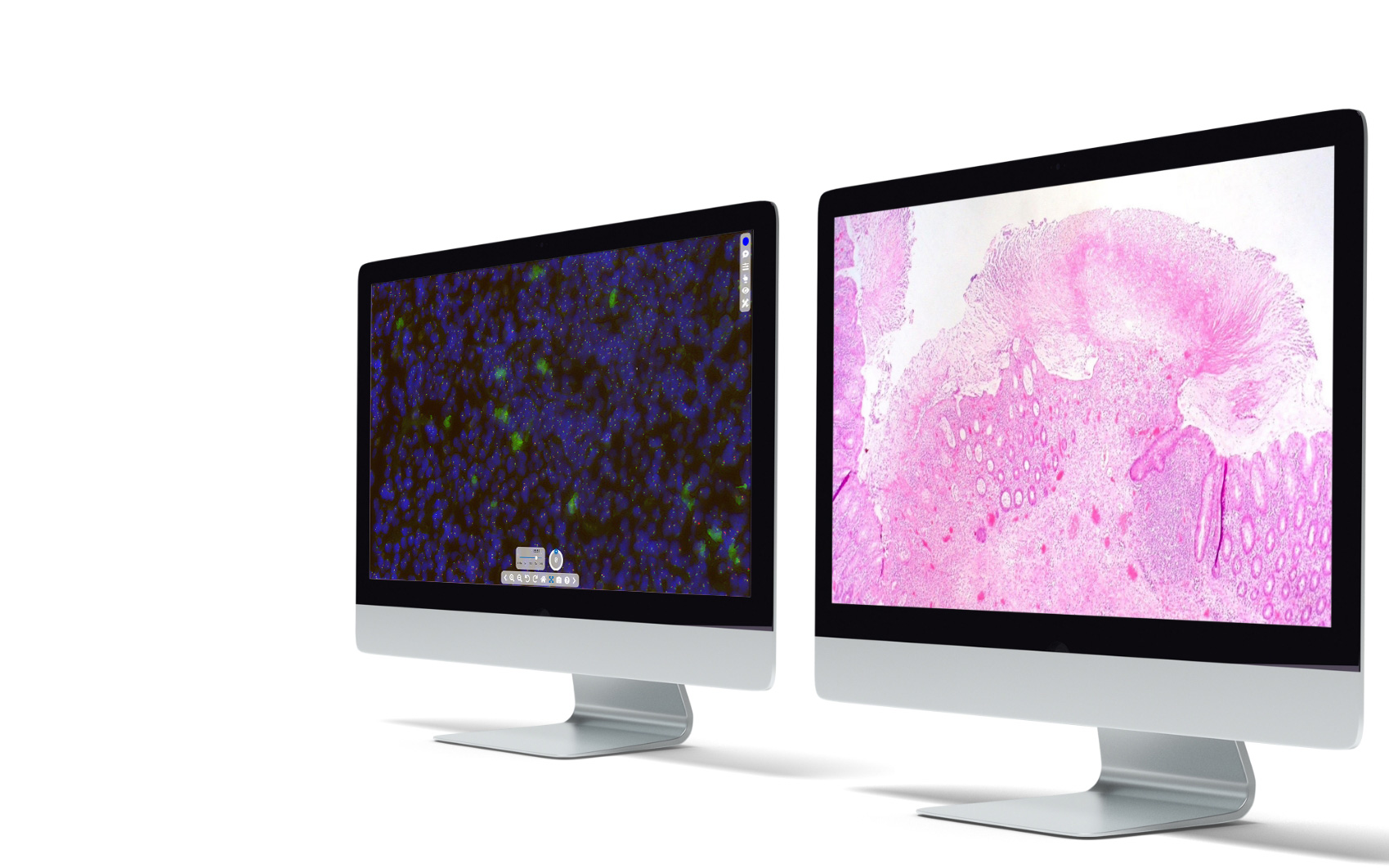 tribun-health-2-monitors tribun-health-2-monitors